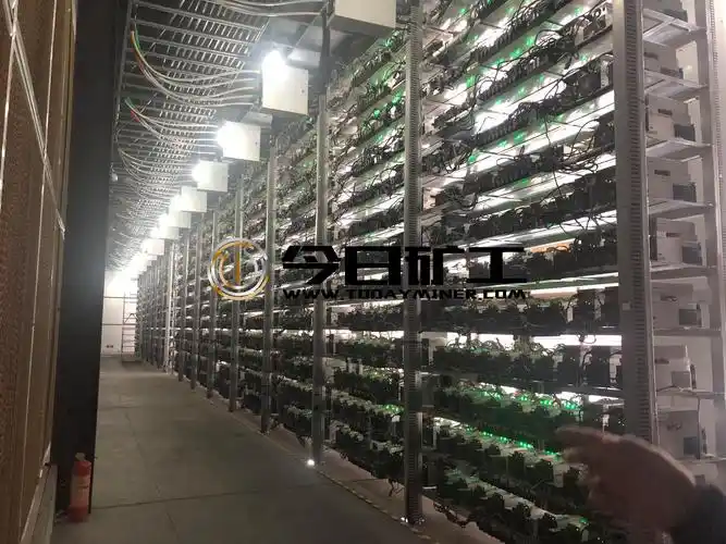 Mining farm showcasing several Whatsminer machines in operation