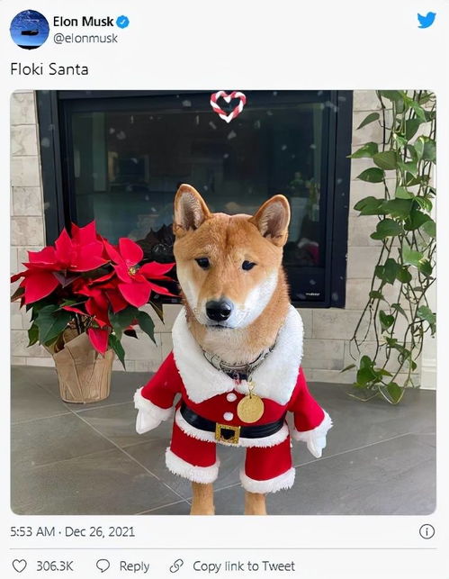 Dogecoin mining operation failure due to poor hosting selection, leading to financial loss.